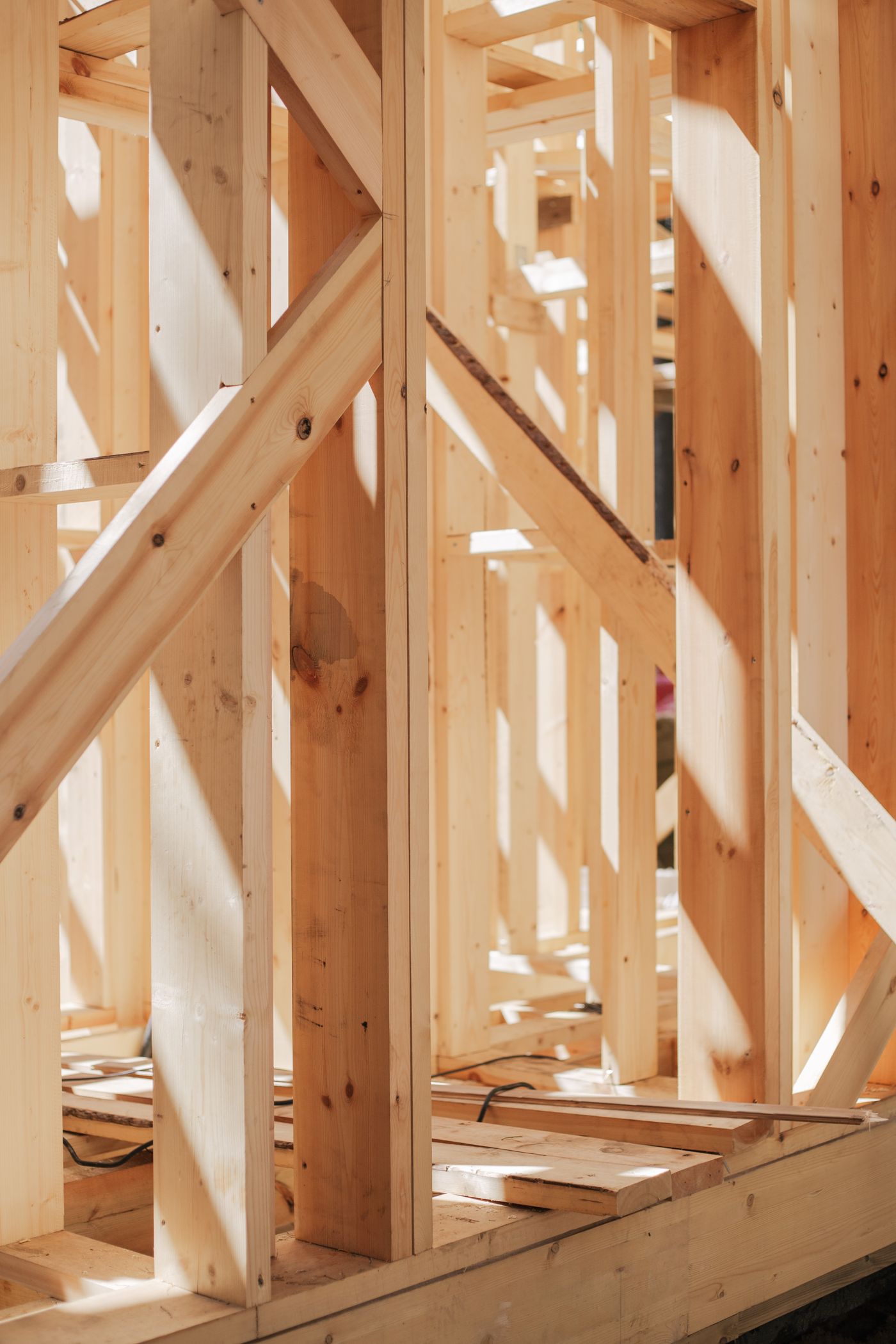 Sunlit timber stud framing during a garden room build
